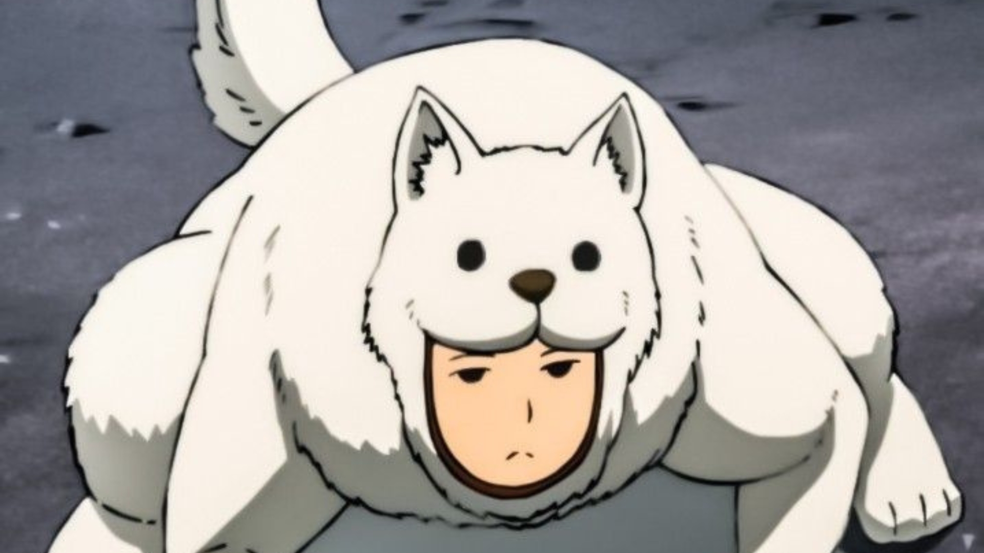 Watchdog Man, S-Class Rank 12 hero in One Punch Man