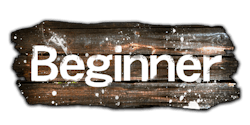Beginner