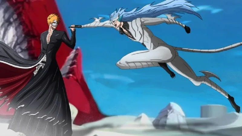 Bleach fight image 2