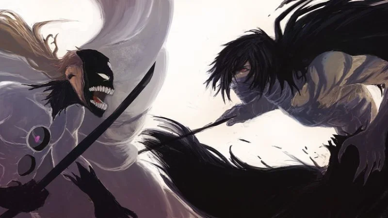 Bleach fight image 4