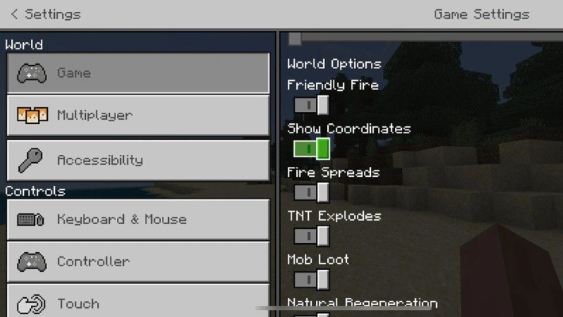 Bedrock Edition coordinates display Minecraft
